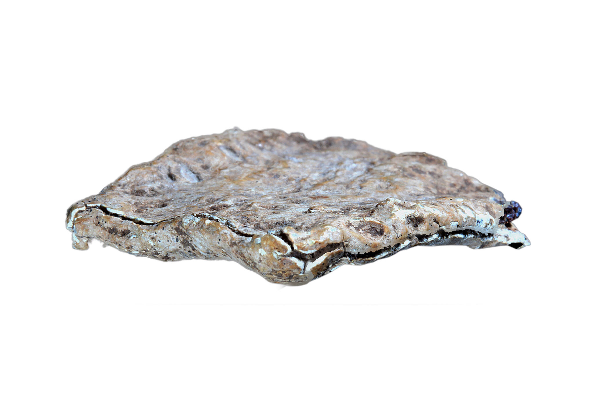 The Mount Ebal ‘Curse Tablet’ Finally Published First Impressions